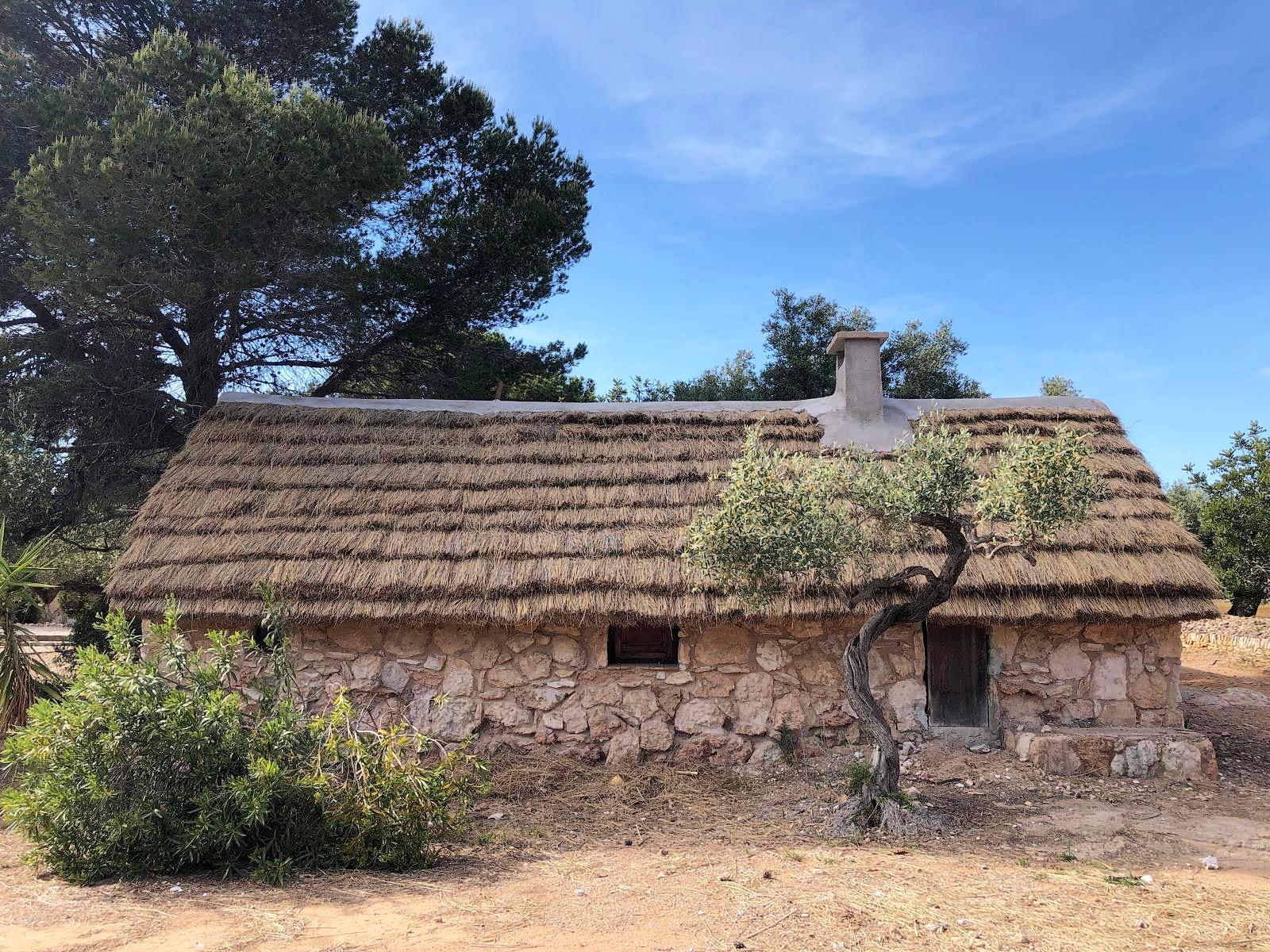 WhatsApp Image 2024-11-13 at 19.59.19 (1)